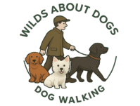 Pet-friendly dog walker in Bessacarr, Doncaster, offering regular walks and outdoor fun for dogs